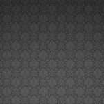 14671340_1405489096145913_8347213556935739686_n